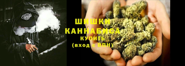 ПСИЛОЦИБИНОВЫЕ ГРИБЫ Арсеньев