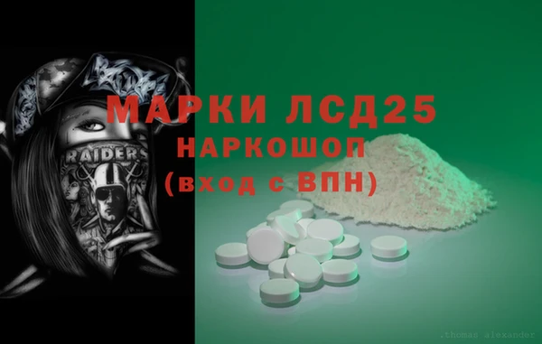 ПСИЛОЦИБИНОВЫЕ ГРИБЫ Арсеньев