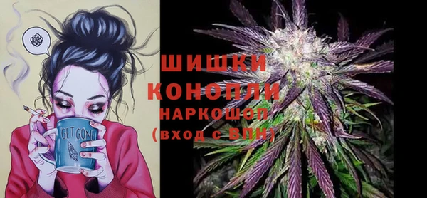 ПСИЛОЦИБИНОВЫЕ ГРИБЫ Арсеньев
